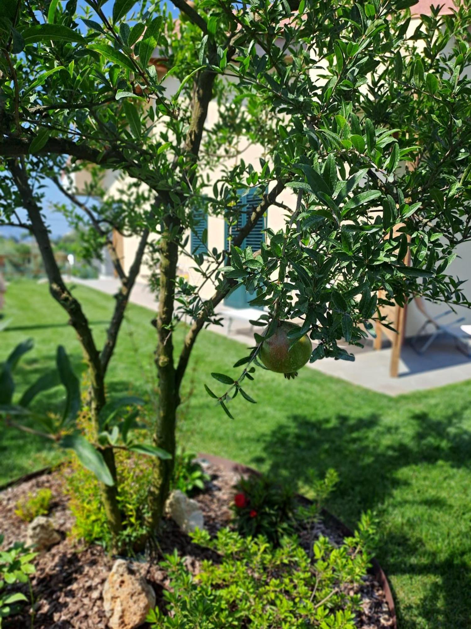 Bed & Breakfast La Campagna Di Peppe E Tullia Bed & Breakfast Formia Exterior photo